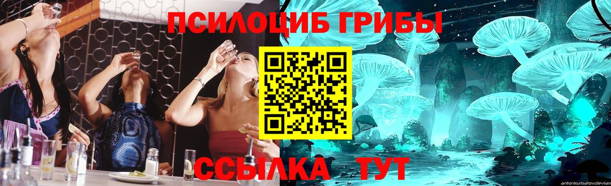 Псилоцибиновые грибы GOLDEN TEACHER Снежинск