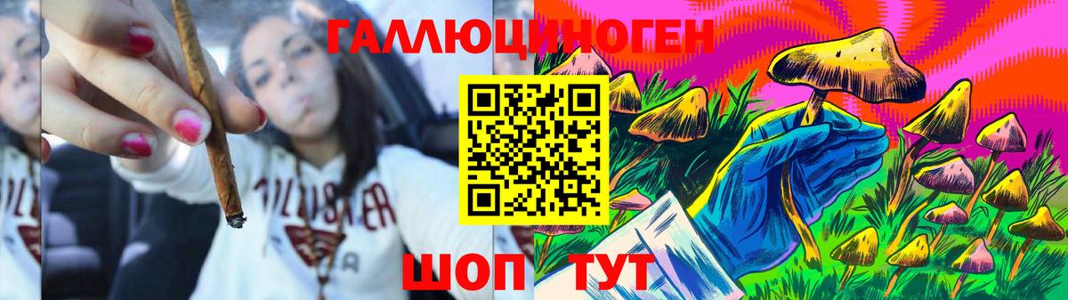 Снежинск  Псилоцибиновые грибы прущие грибы  Вход с VPN 